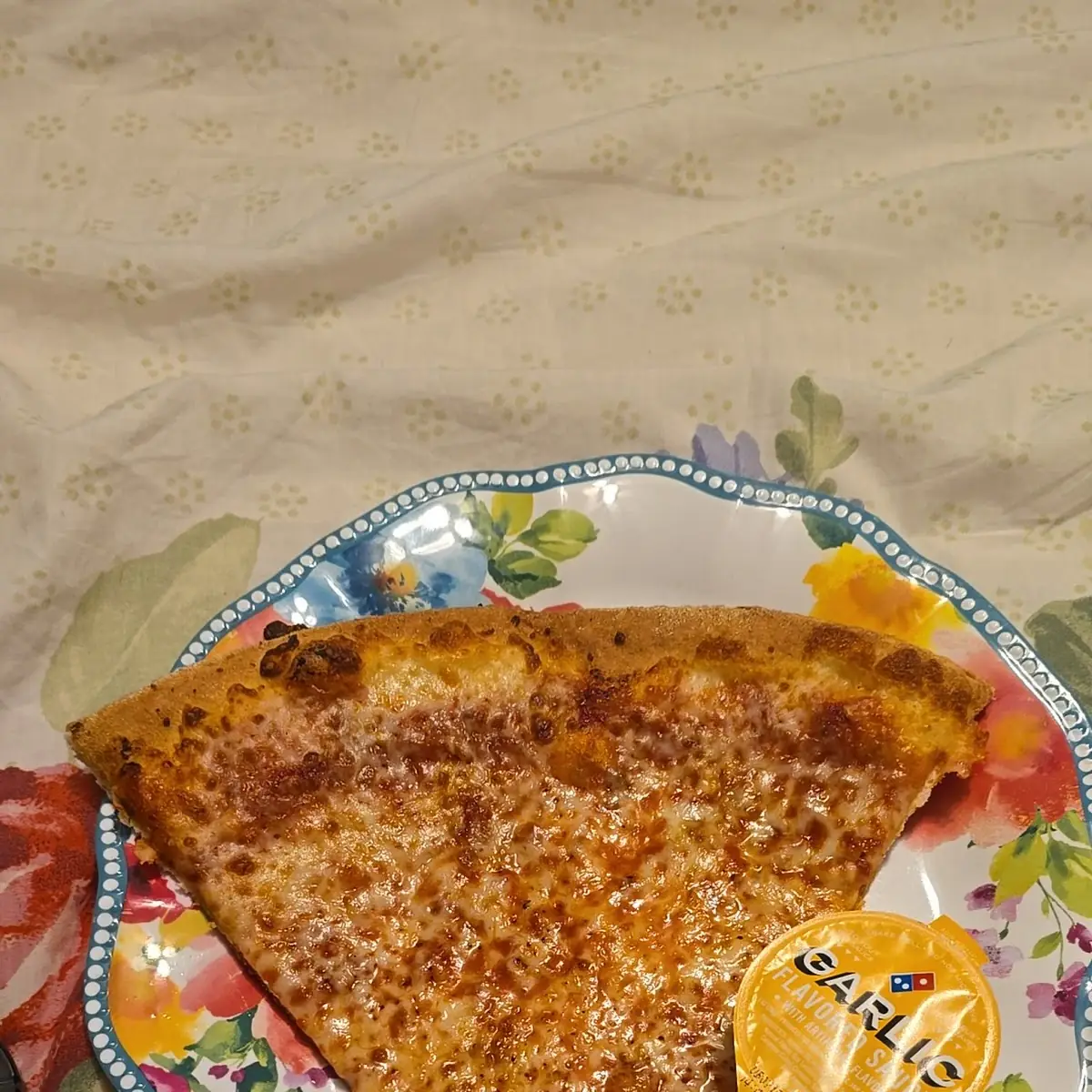 Cheese Pizza Nee York Style