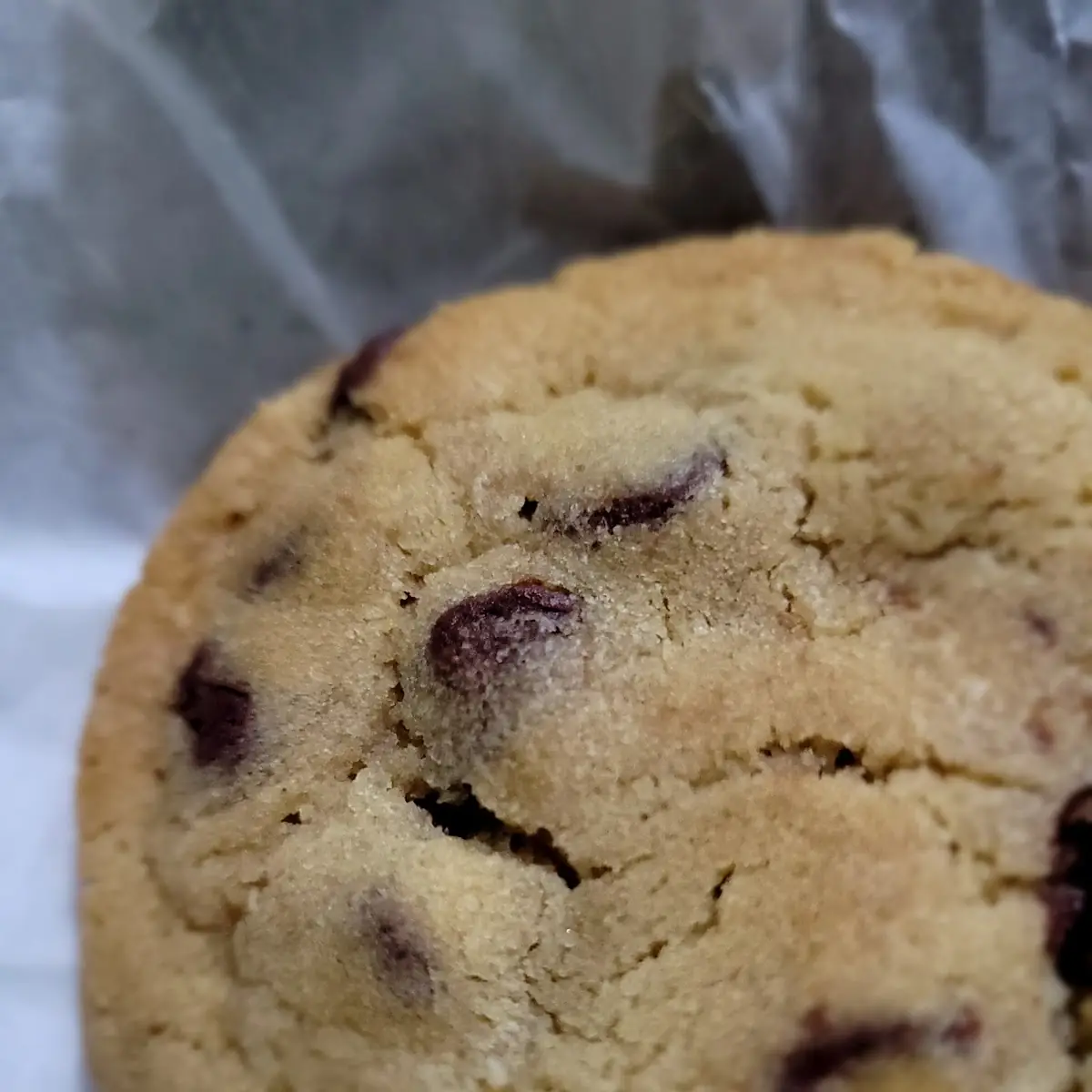 Chocolate Chip Cookie