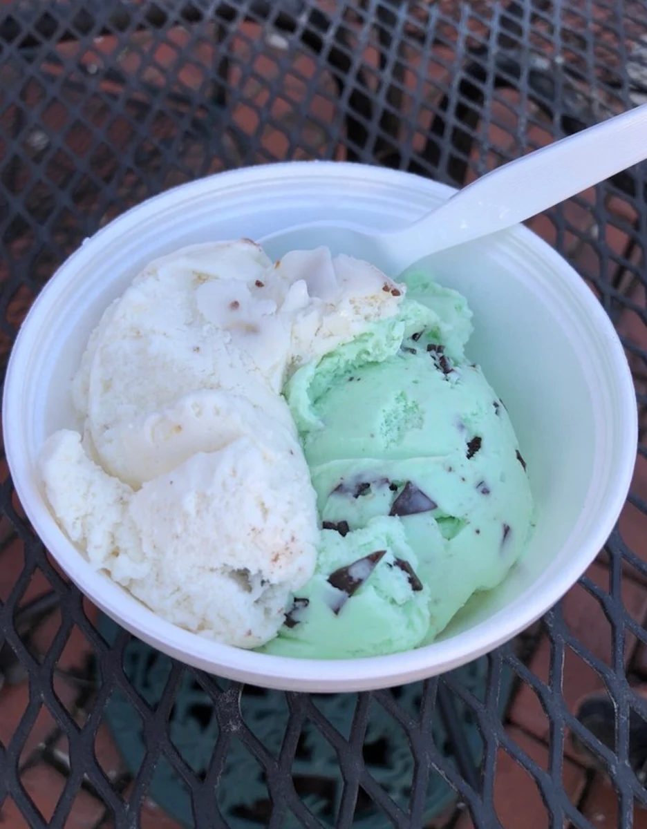 Mint Chocolate Chip