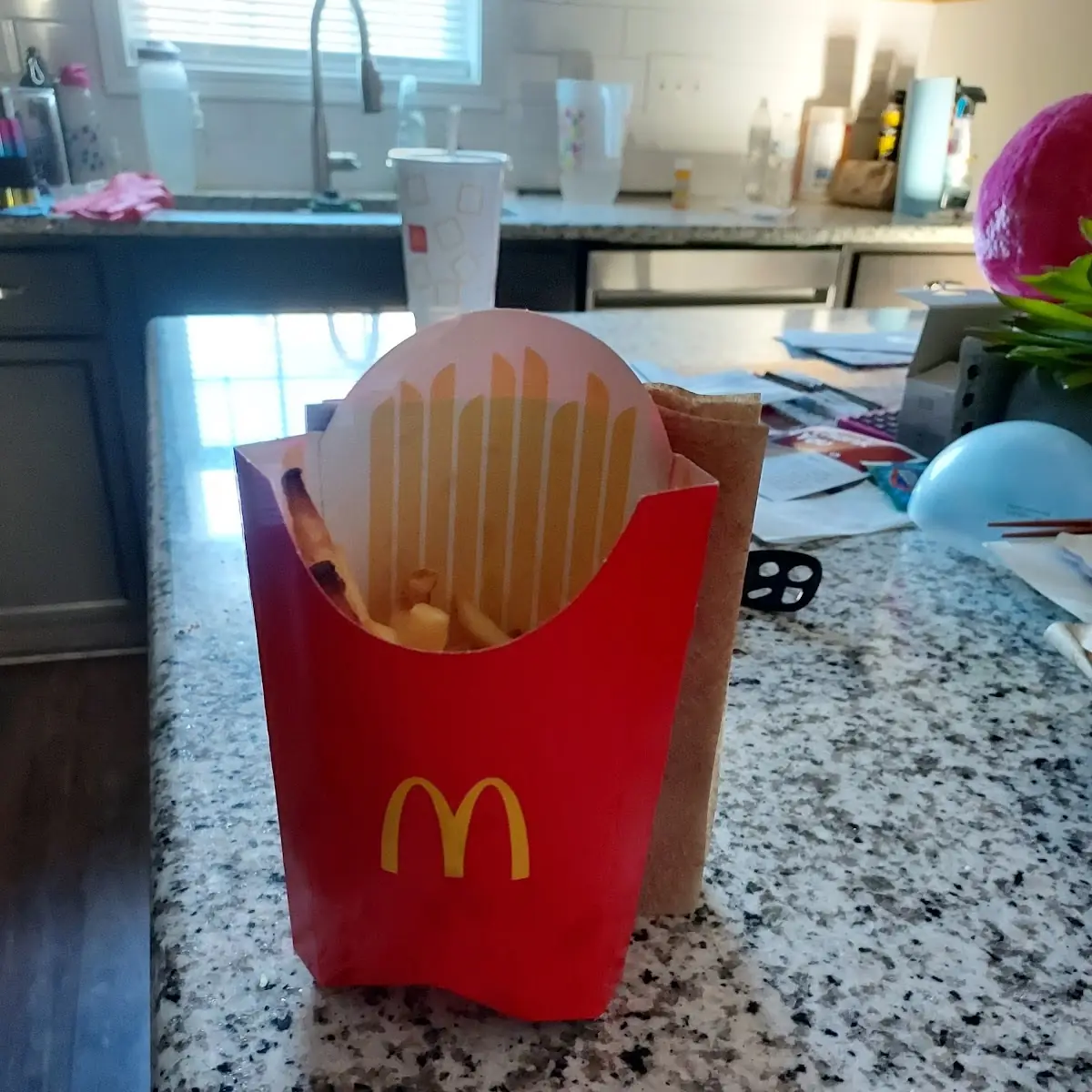 40 PC Chicken Mcnuggets & 2 Large Fries
