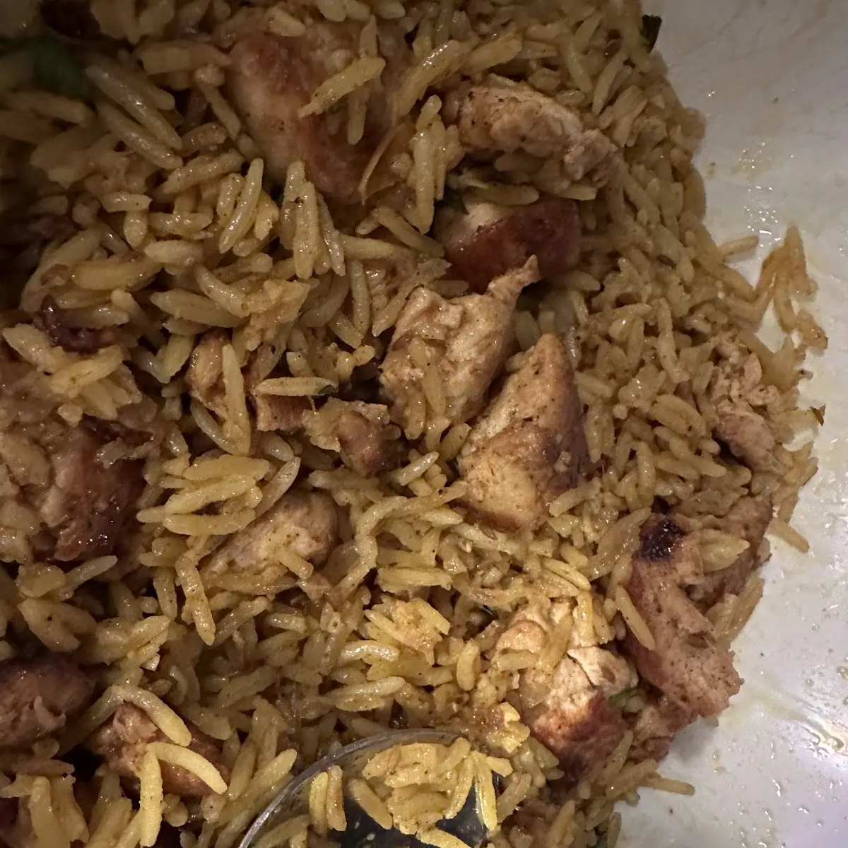 Supposedly Chicken Biryani