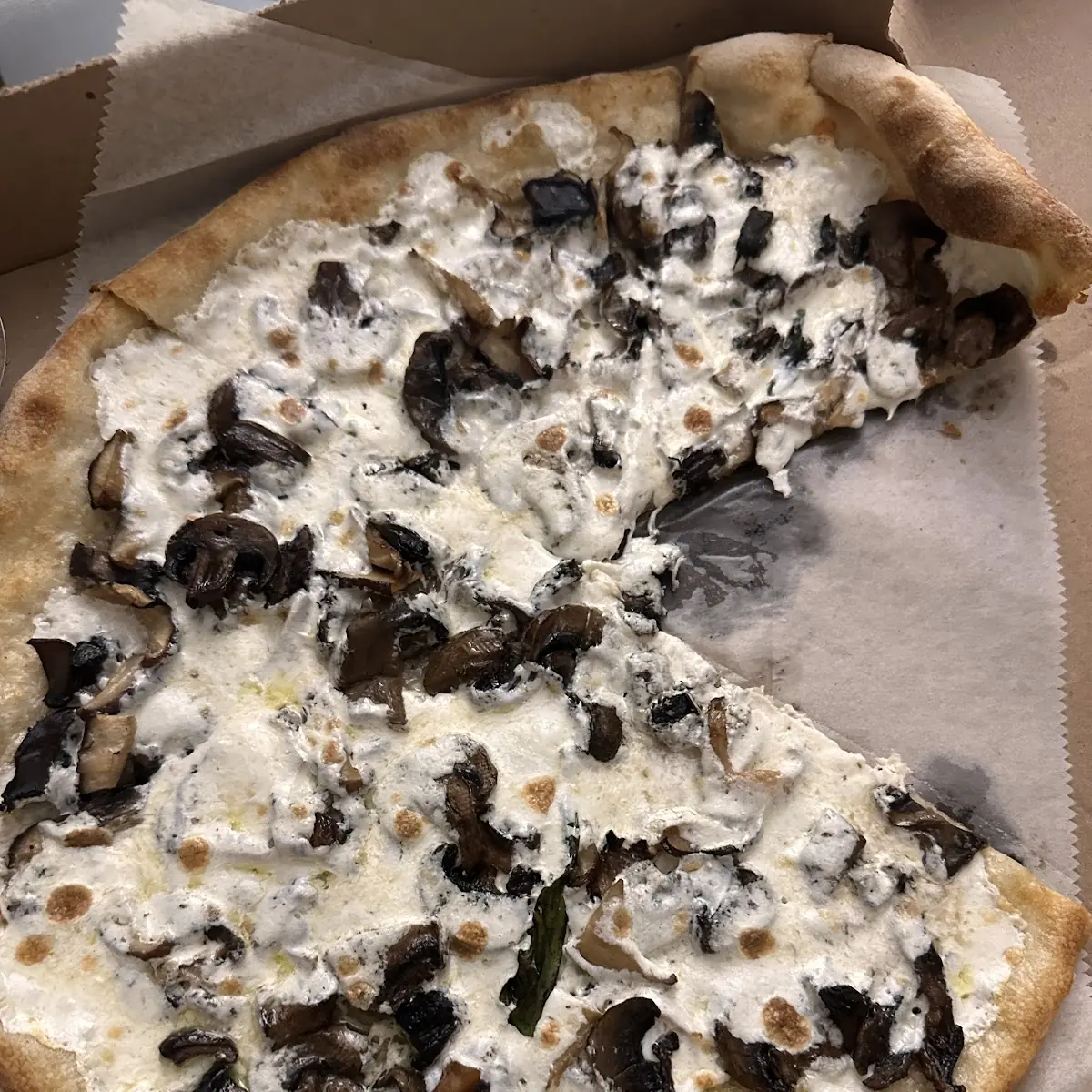 4 Mushroom Pizza 12