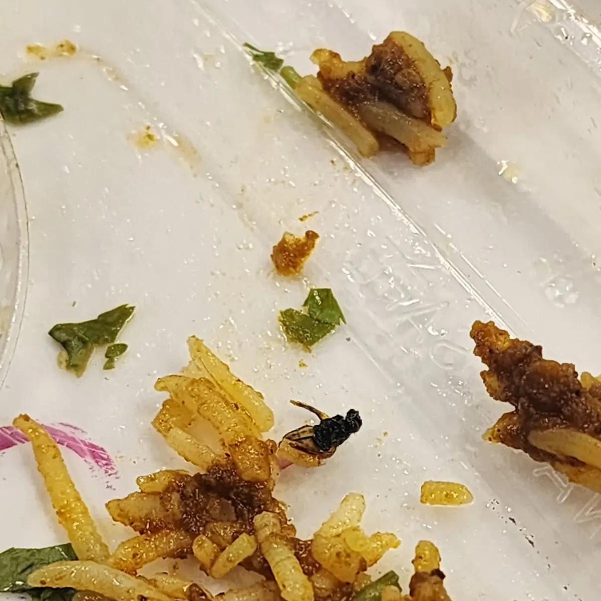 Lamb Biryani
