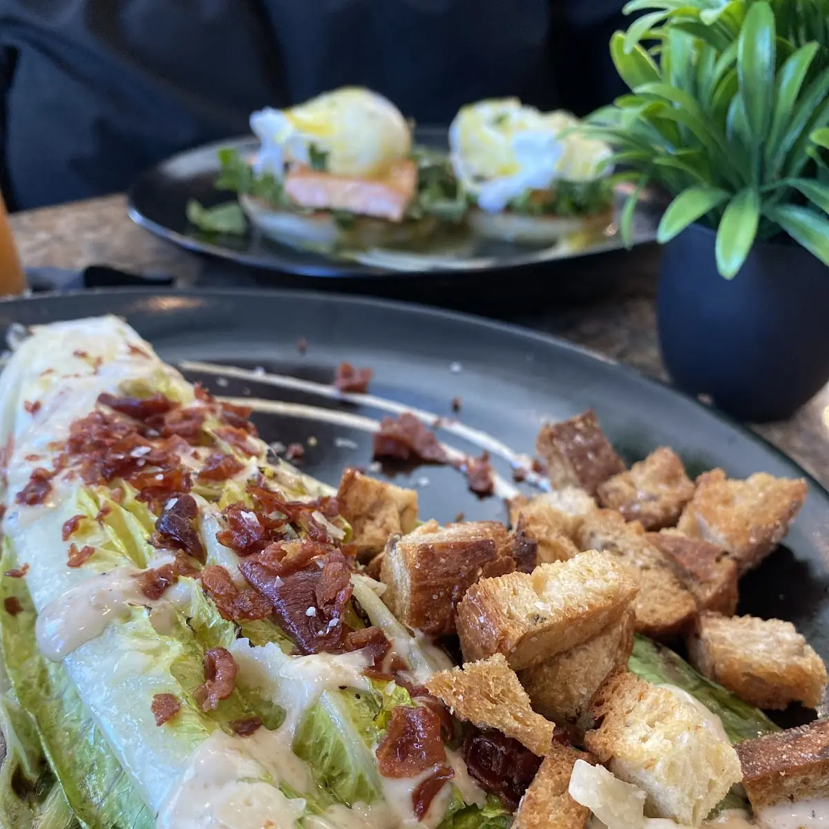 Grilled Chicken Caesar Salad