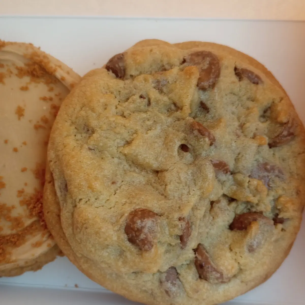 Chocolate Chip Cookie