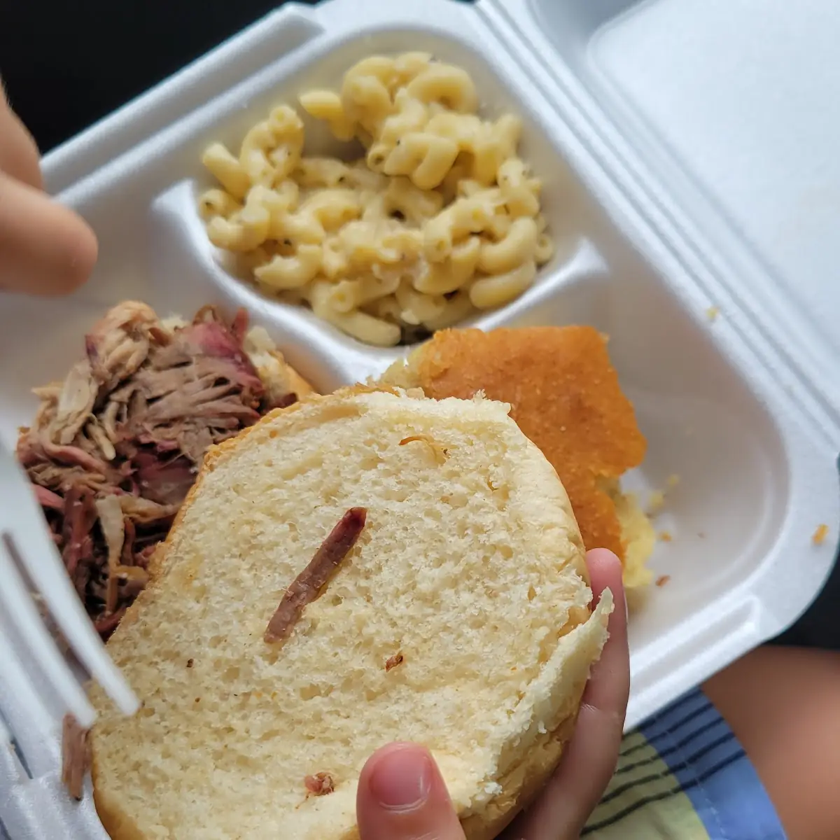 Underdog Pulled Chicken