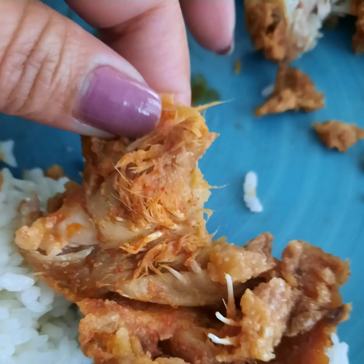 Fried Chicken Thigh