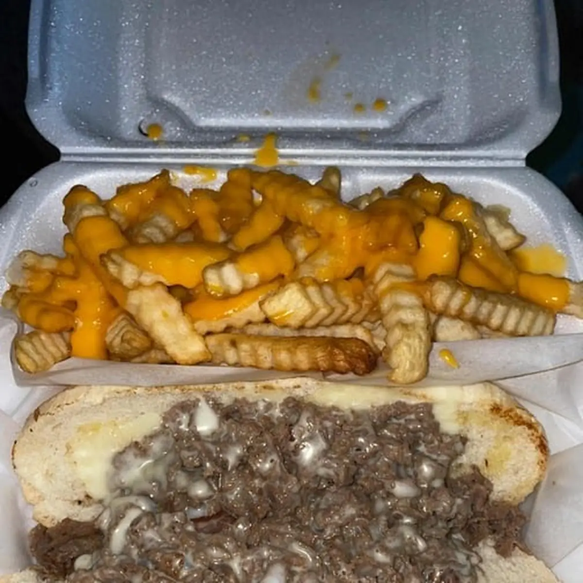 Philly Cheese Steak & Fries