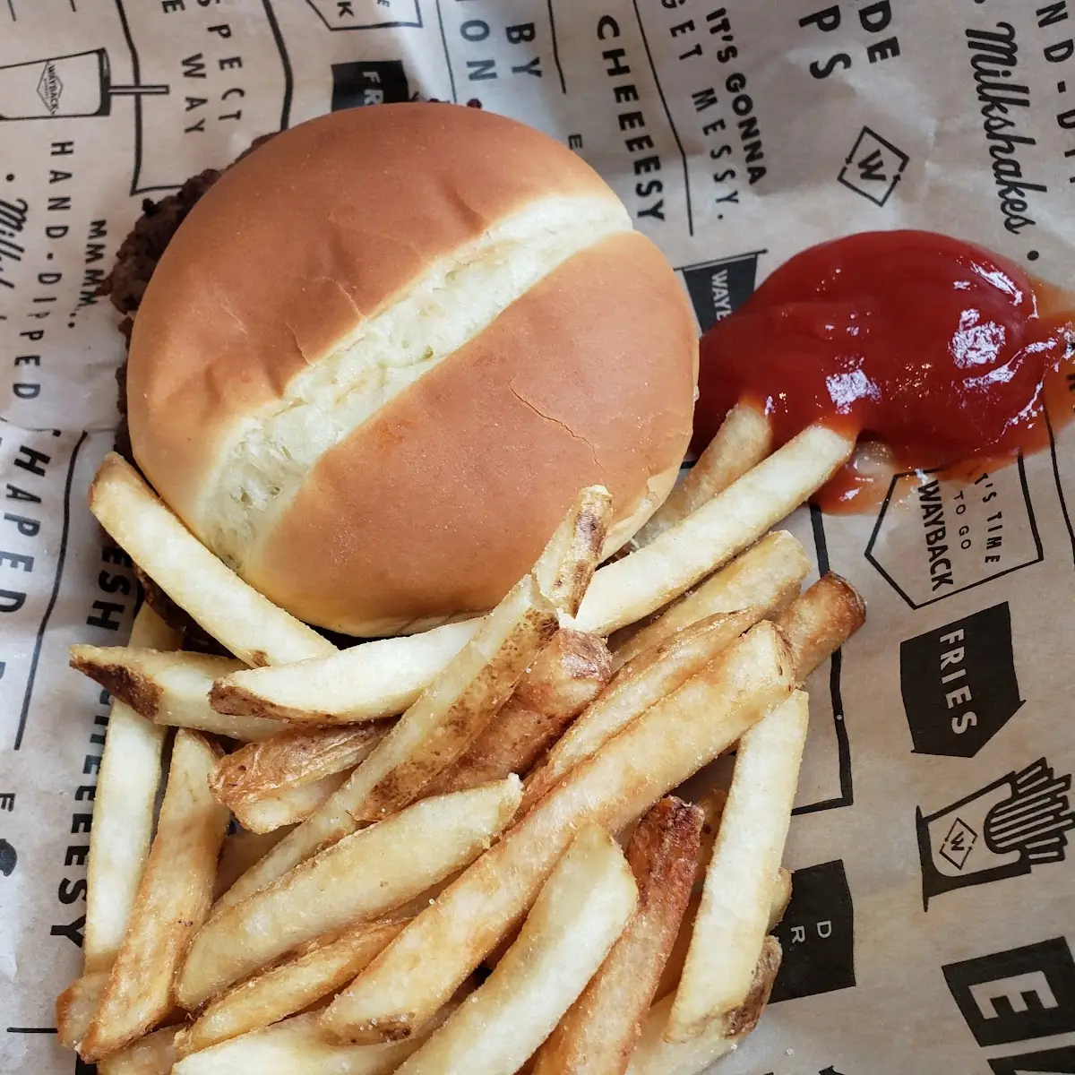 Cheese Burger and Fries