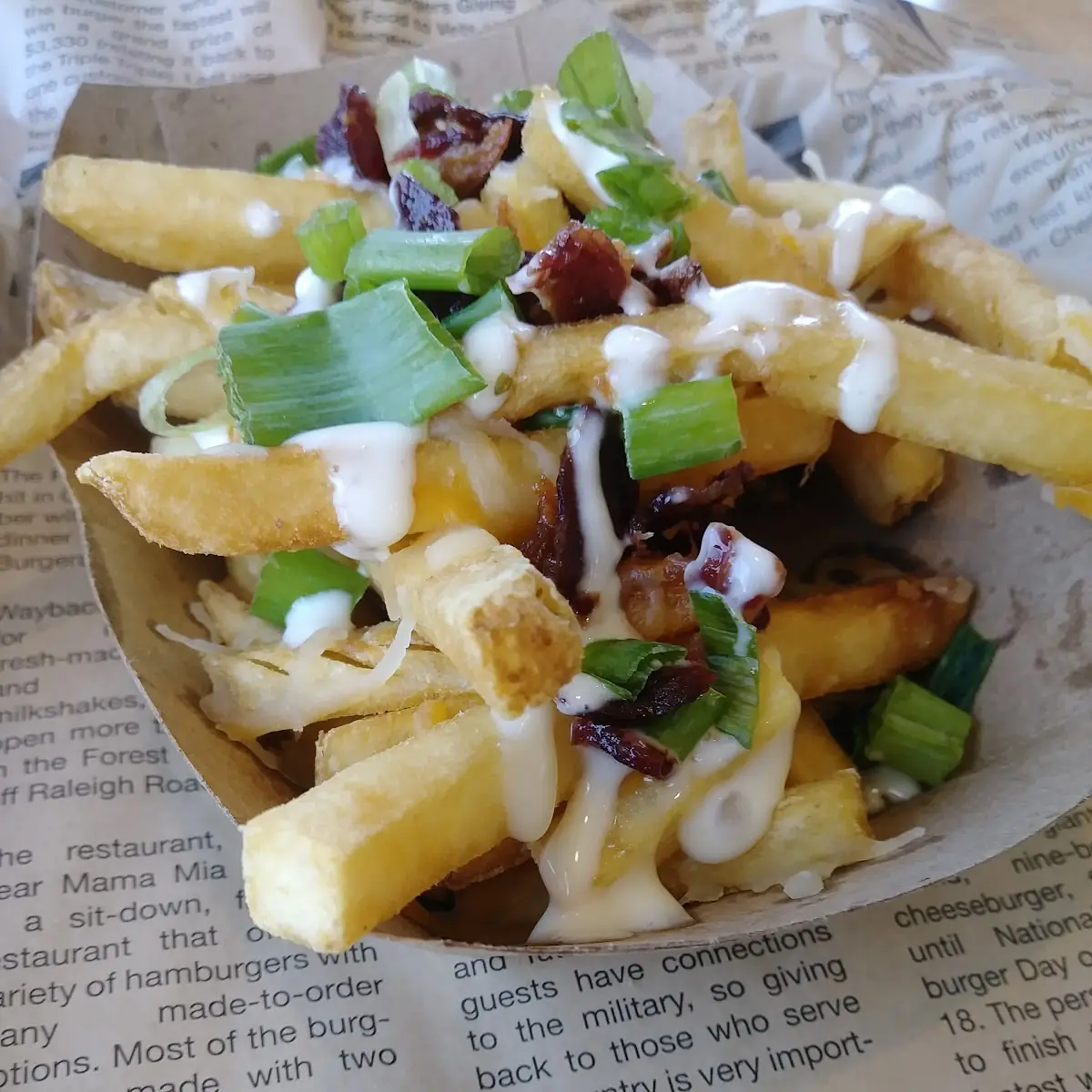Loaded Fries