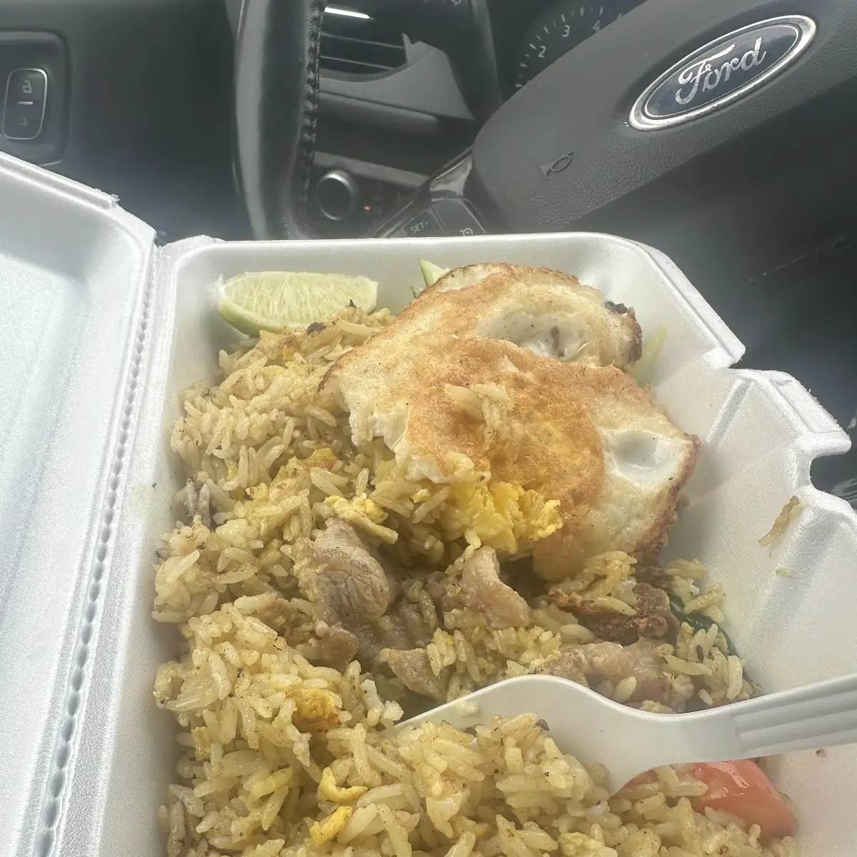 Curry Fried Rice