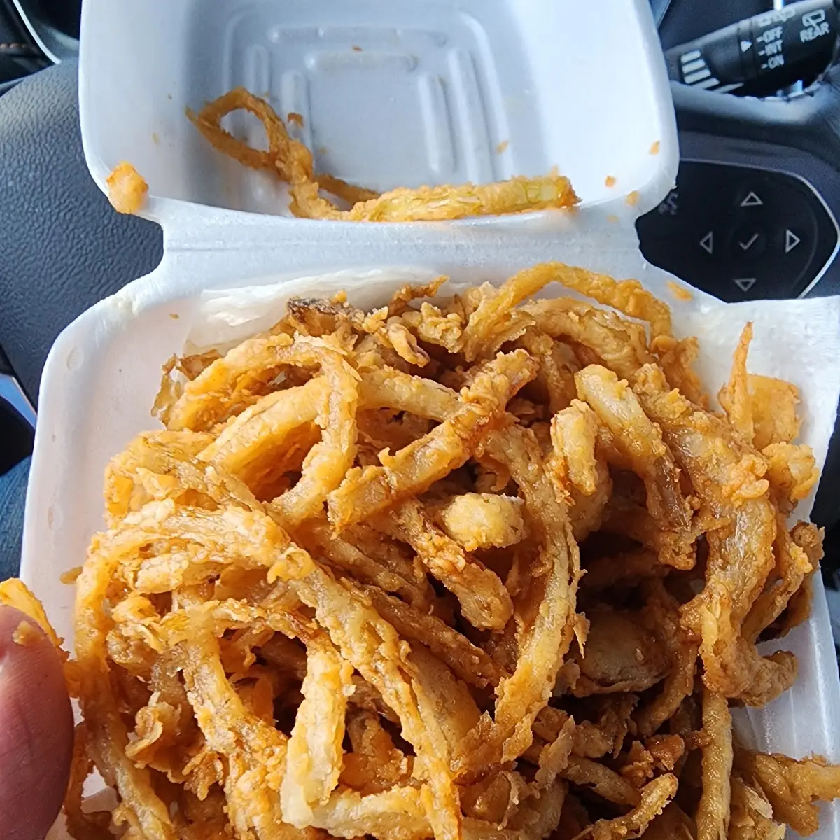 Shoestring Onion Rings