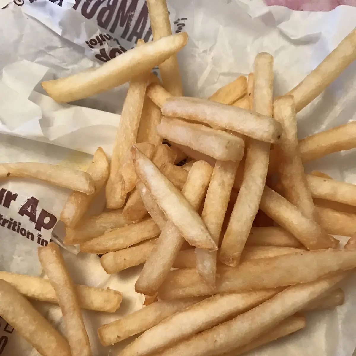 World Famous Fries