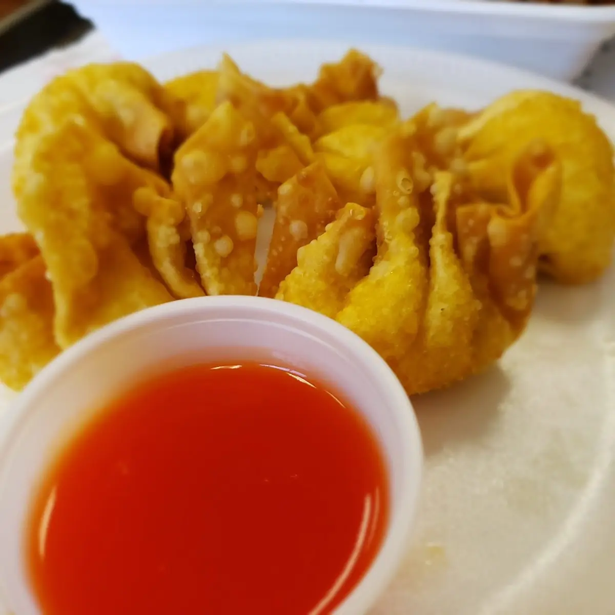 Fried Wonton 10
