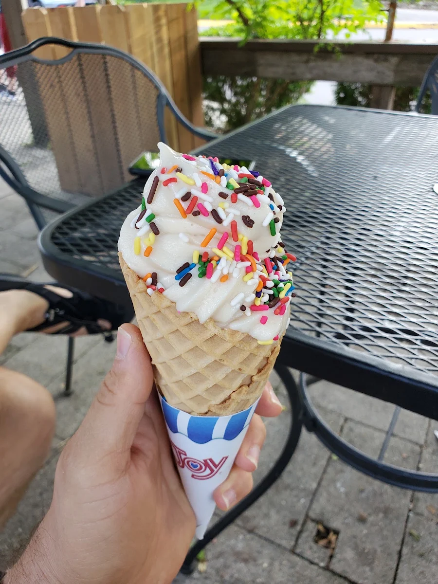 Vegan Vanilla with Waffle Cone and Rainbow Sprinkles