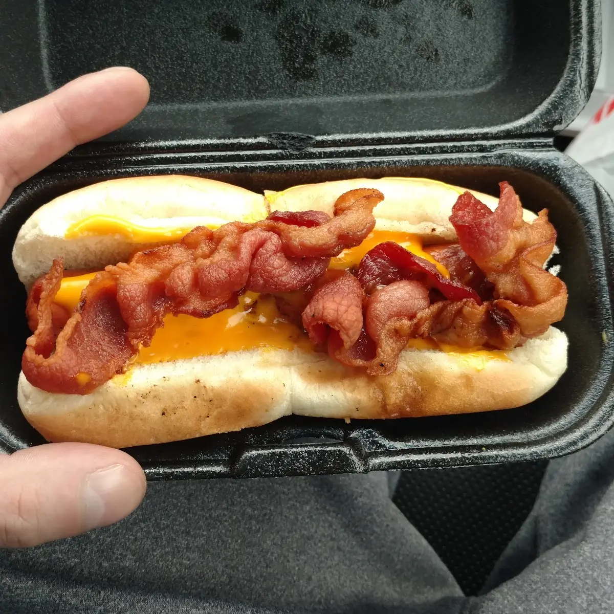 Bacon Cheddar Hot Dog