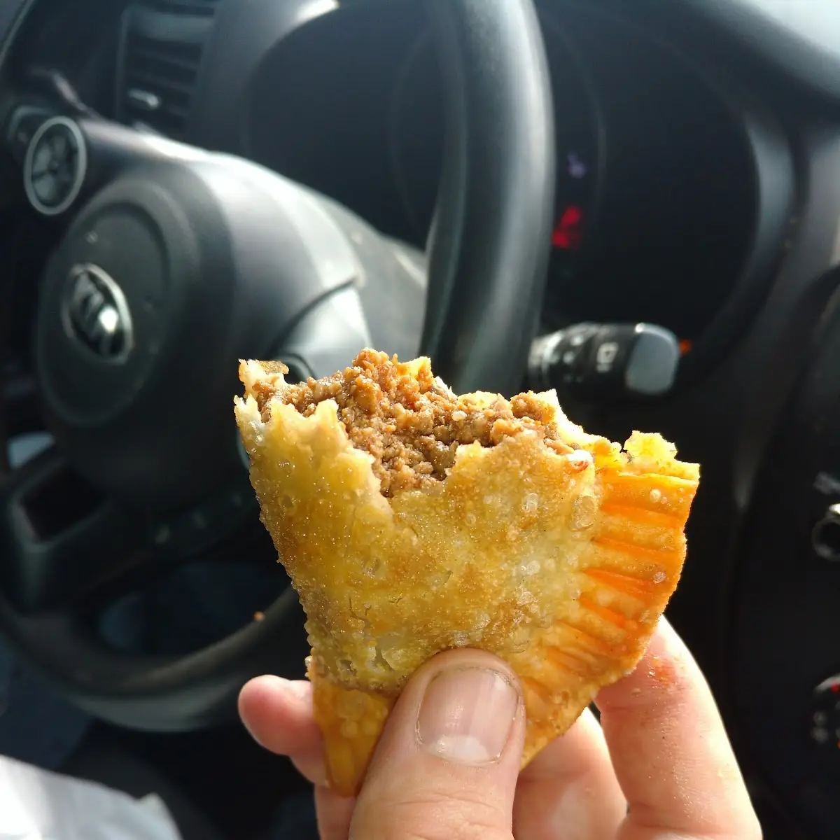 Beef Empanada