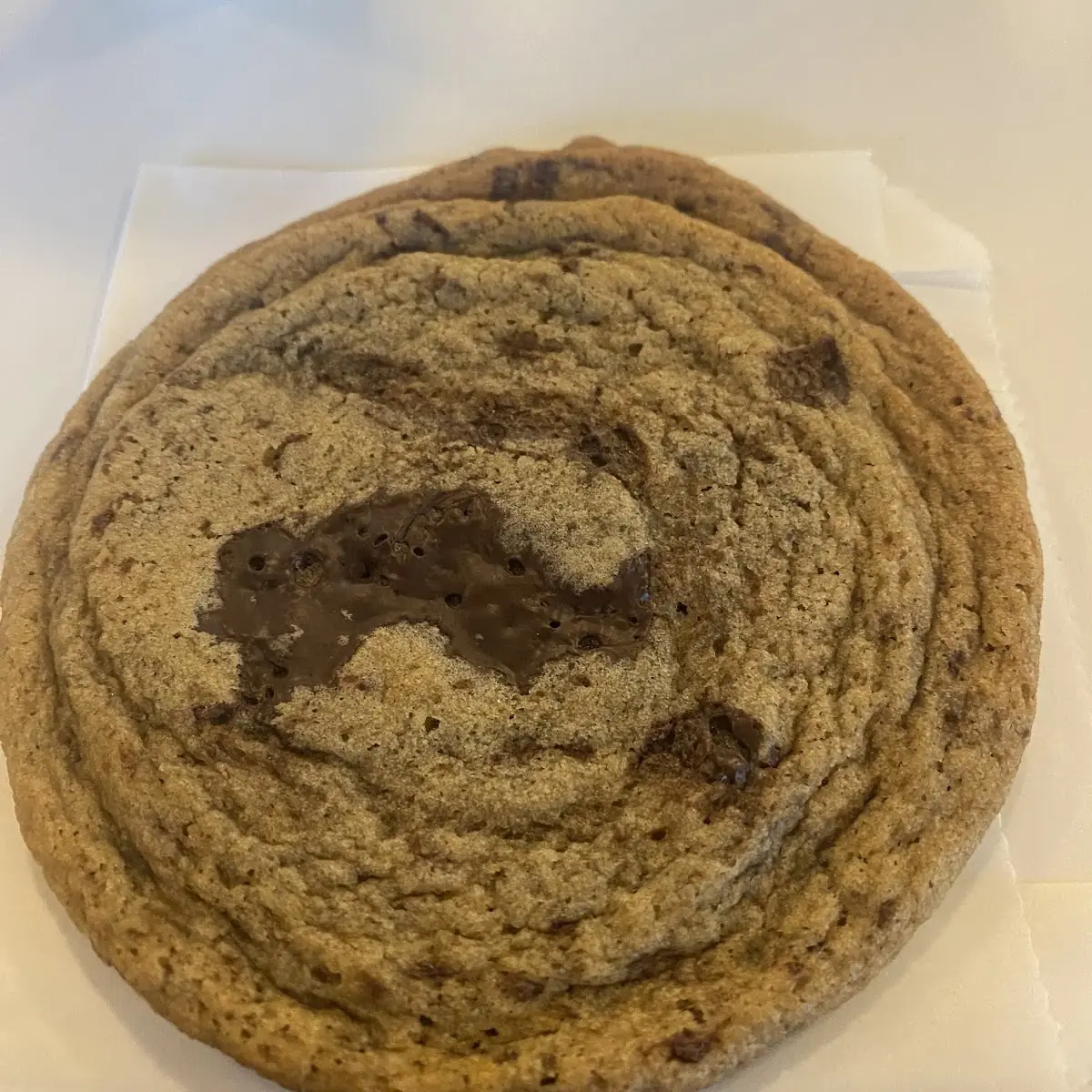 Chocolate Chip Cookie