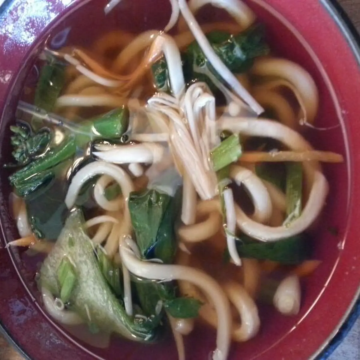 Sansai Vegetable Udon Noodle Soup