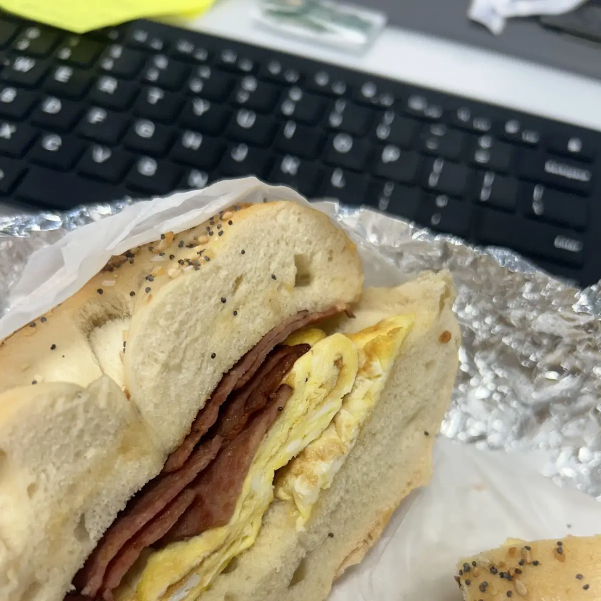 Everything Bagel with Egg and Turkey Bacon