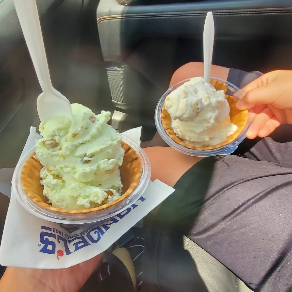 Pistachio and Coconut Cream Pie