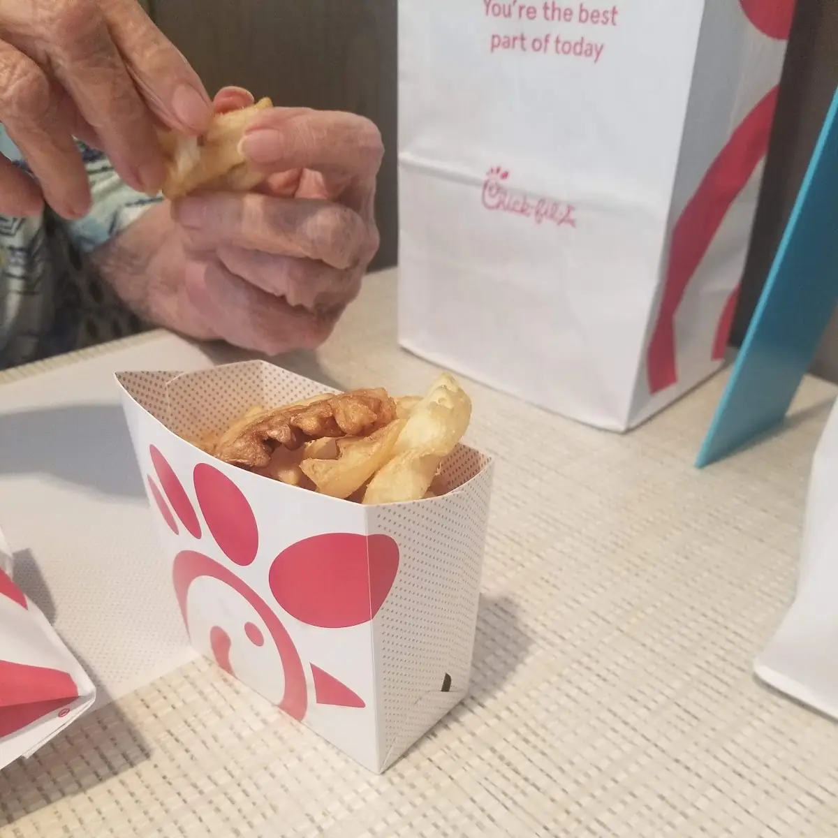 Waffle Fries