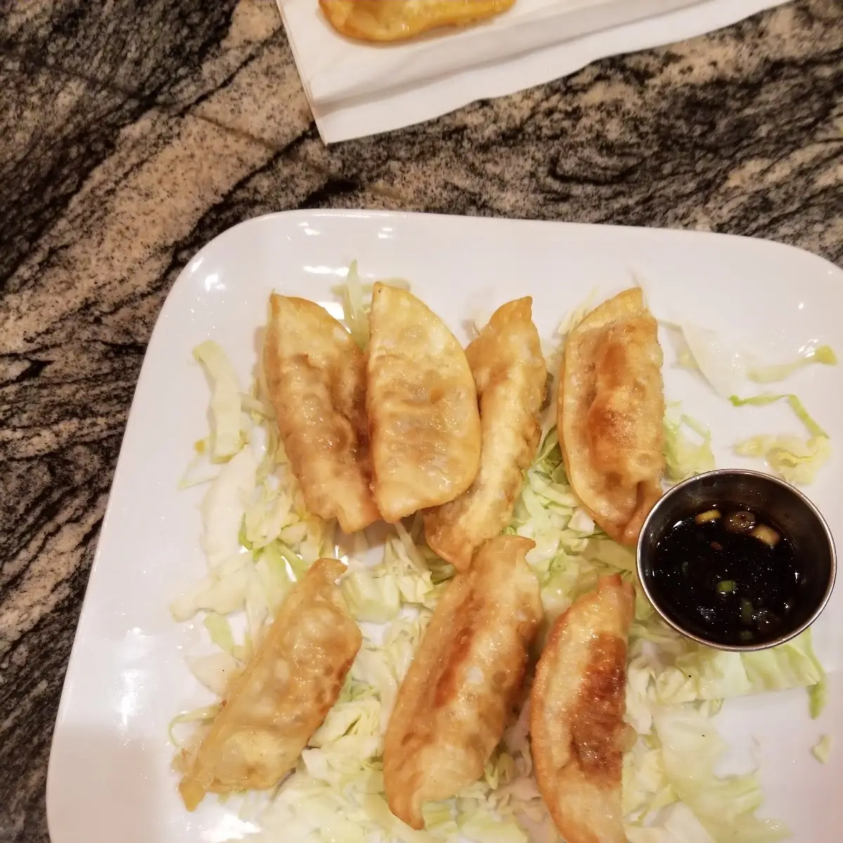 Fried Dumplings