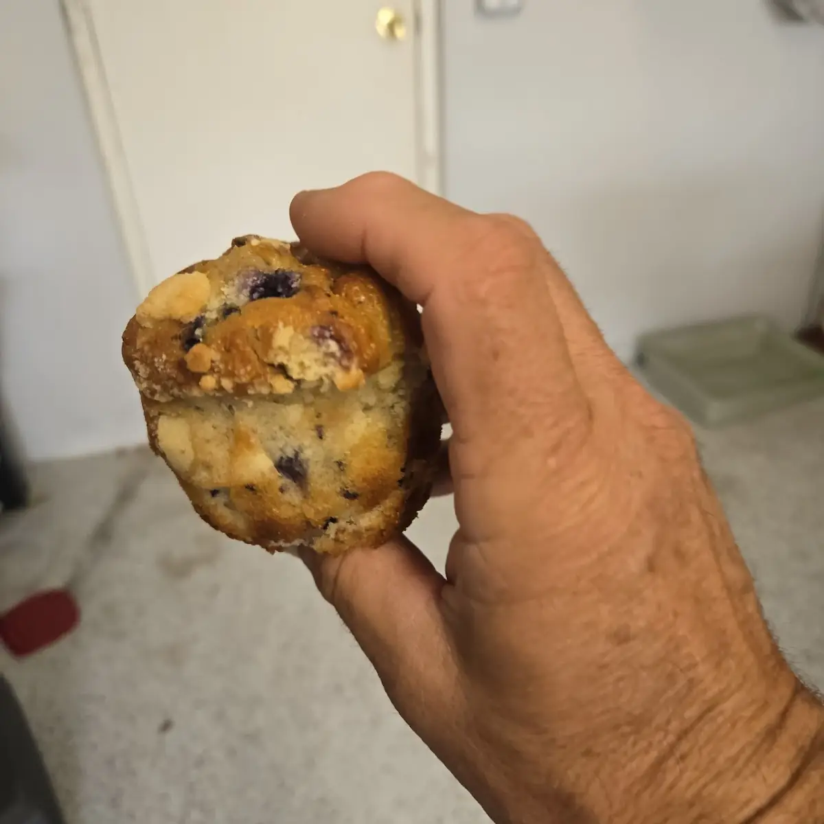 Blueberry Muffin