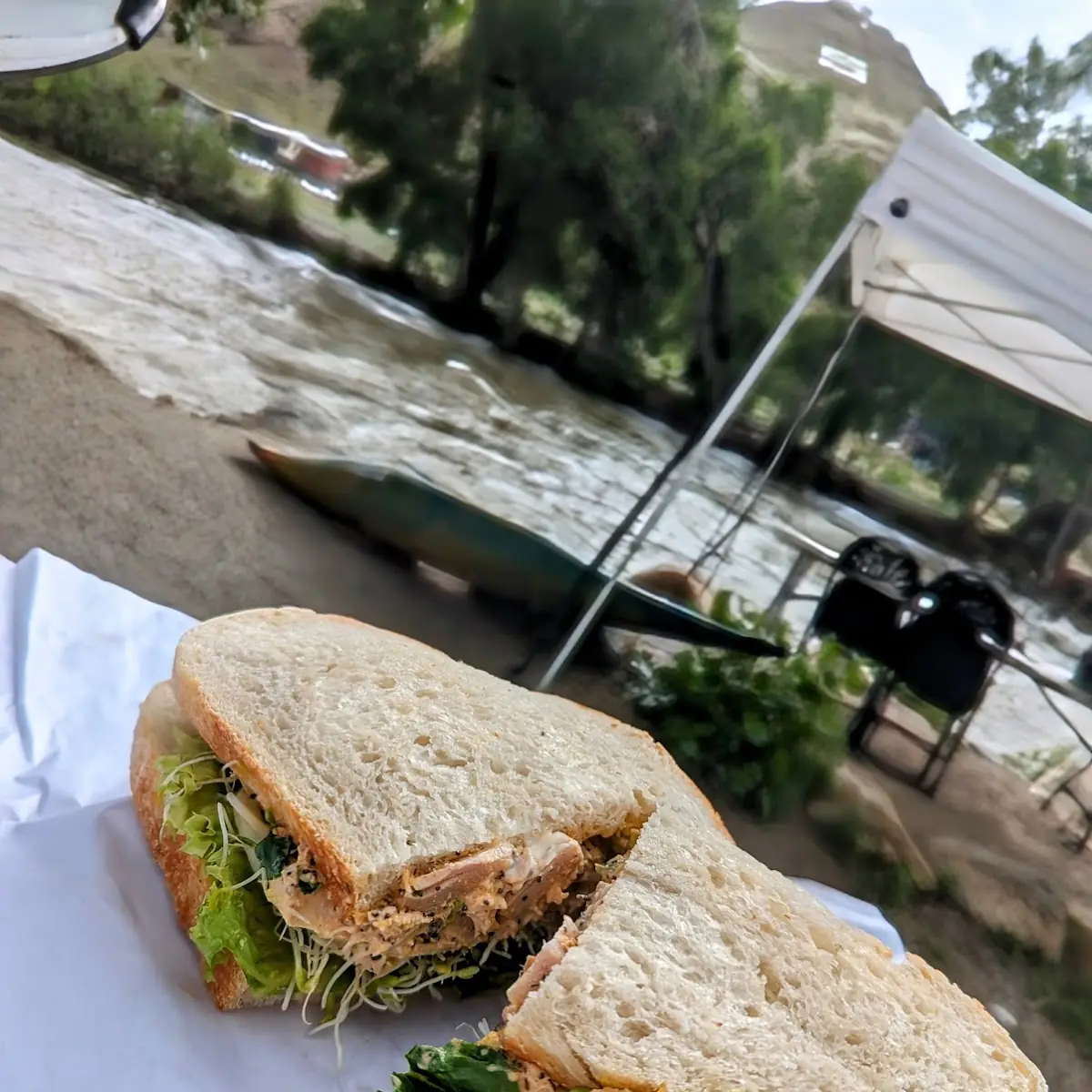 Chicken Salad Sandwich