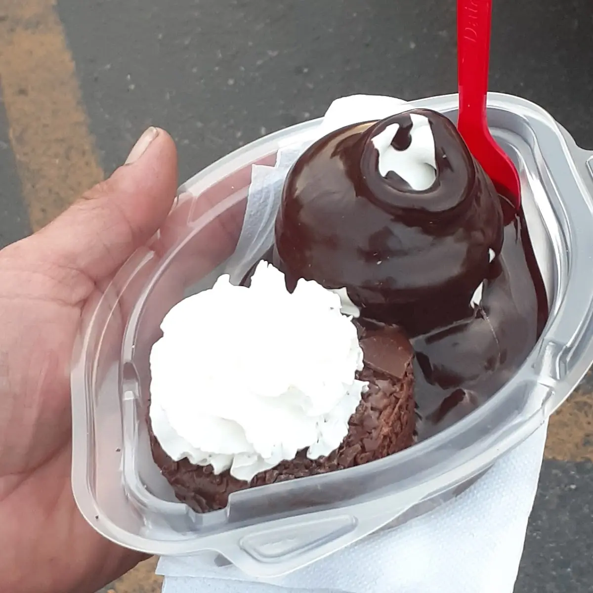 Double Chocolate Browny