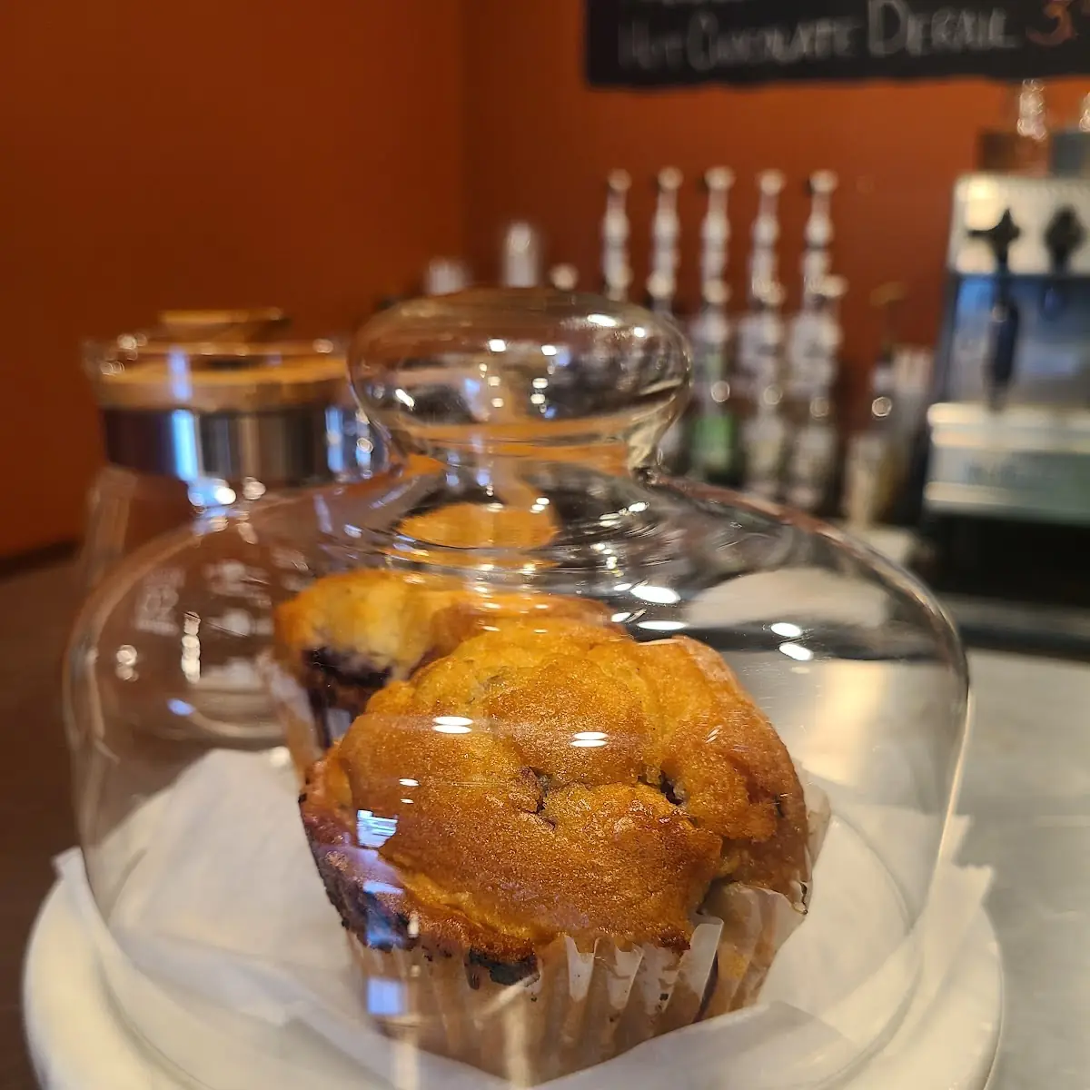 Blueberry Muffins