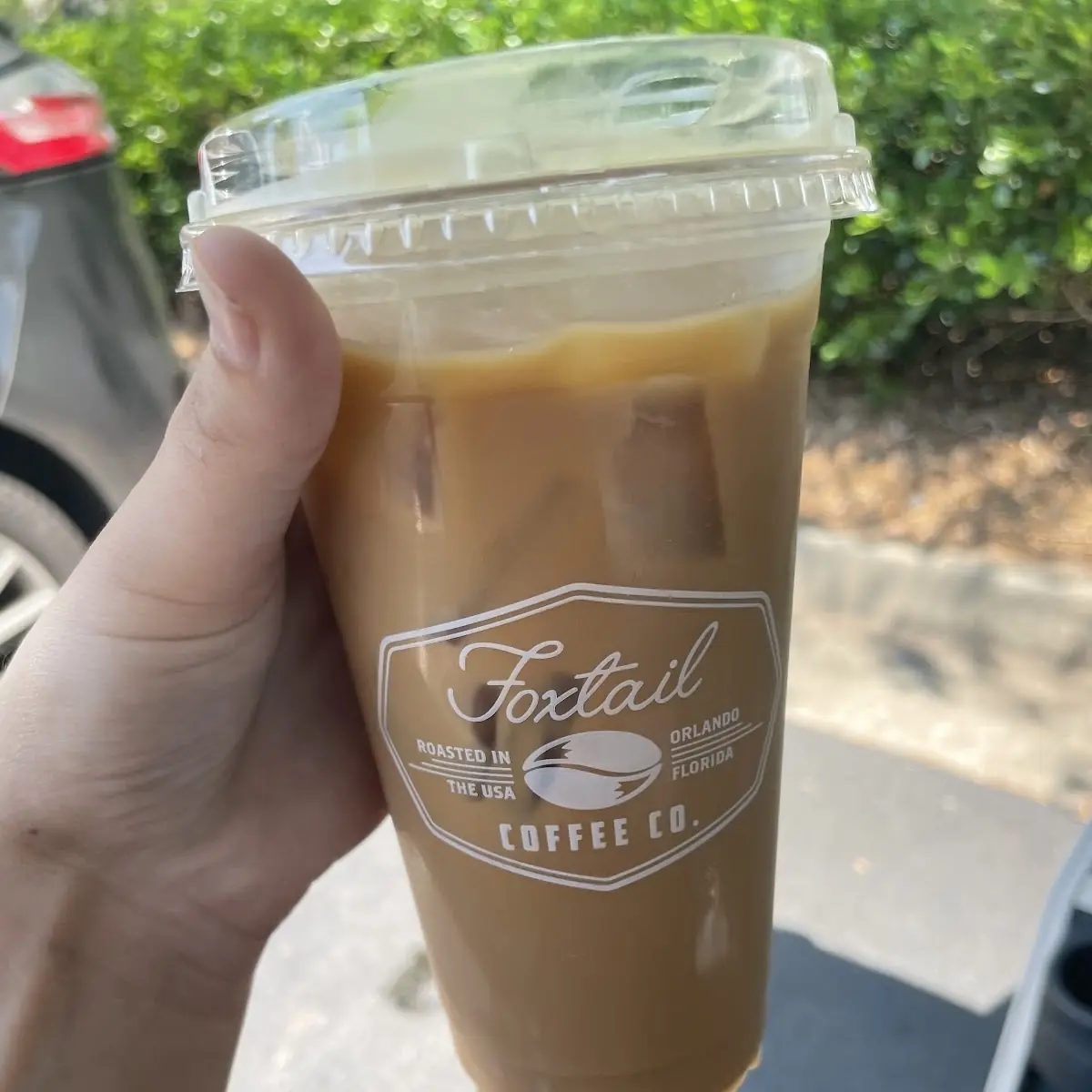 Cold Brew