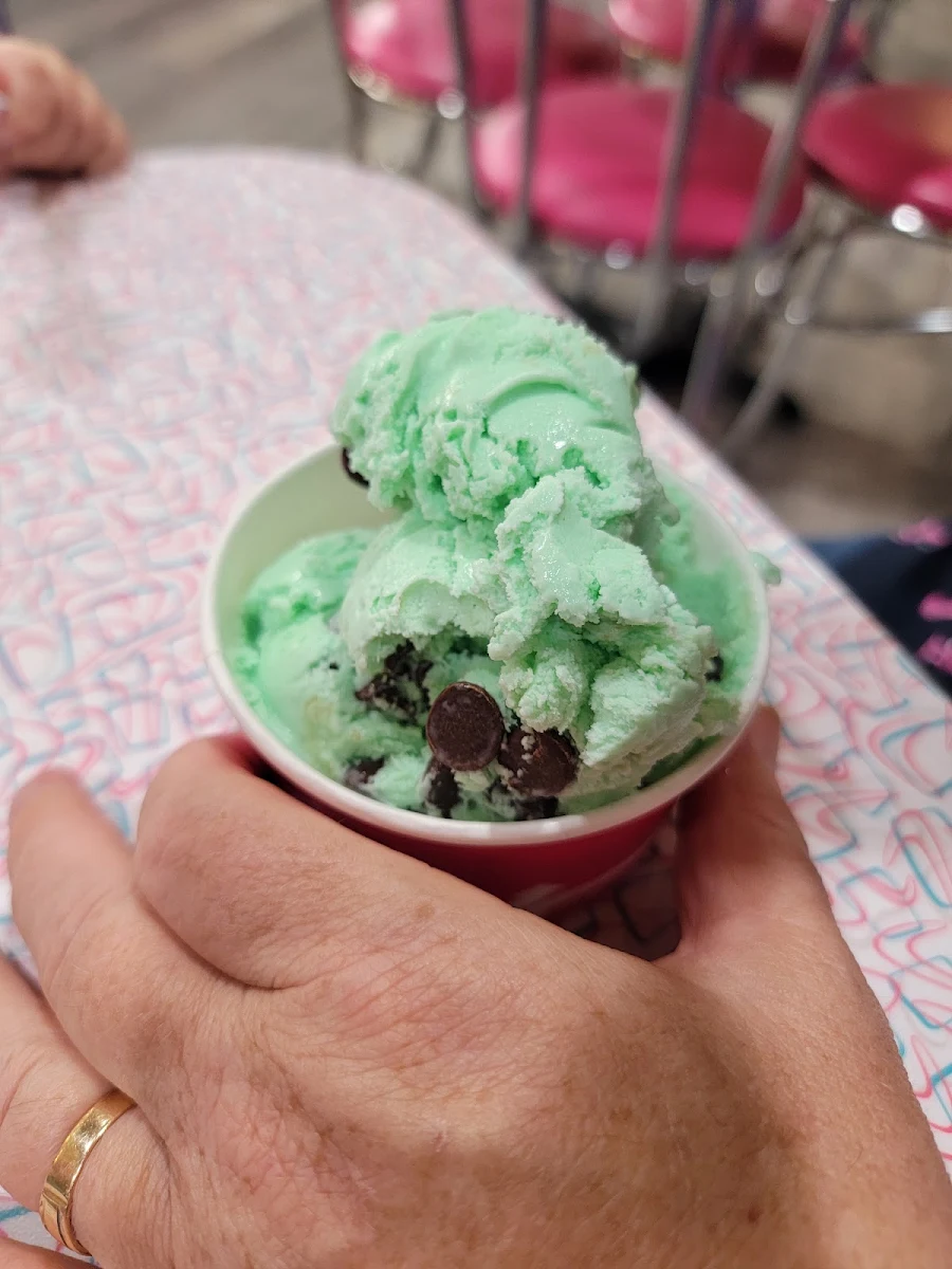 Mint Chocolate Chip Ice Cream