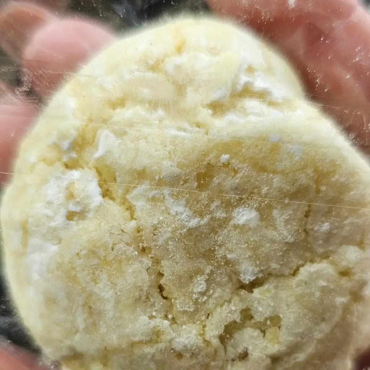 Shaved Ice