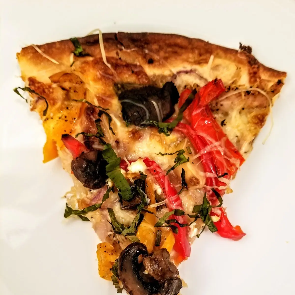 Wild Mushroom with Chicken Pizza