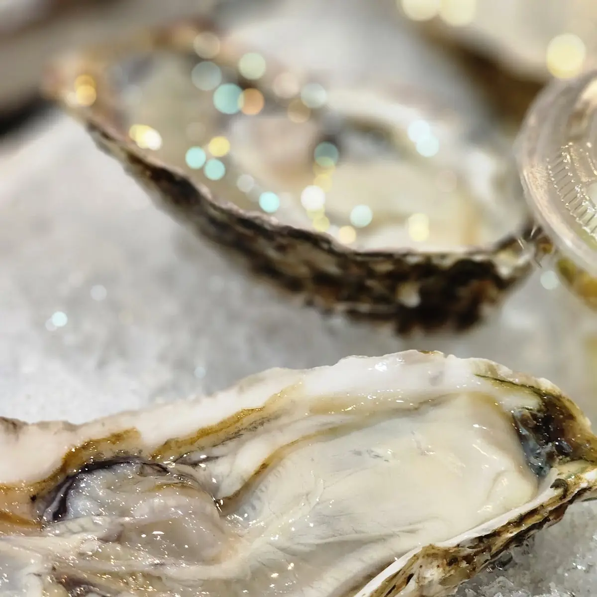 Raw Oysters