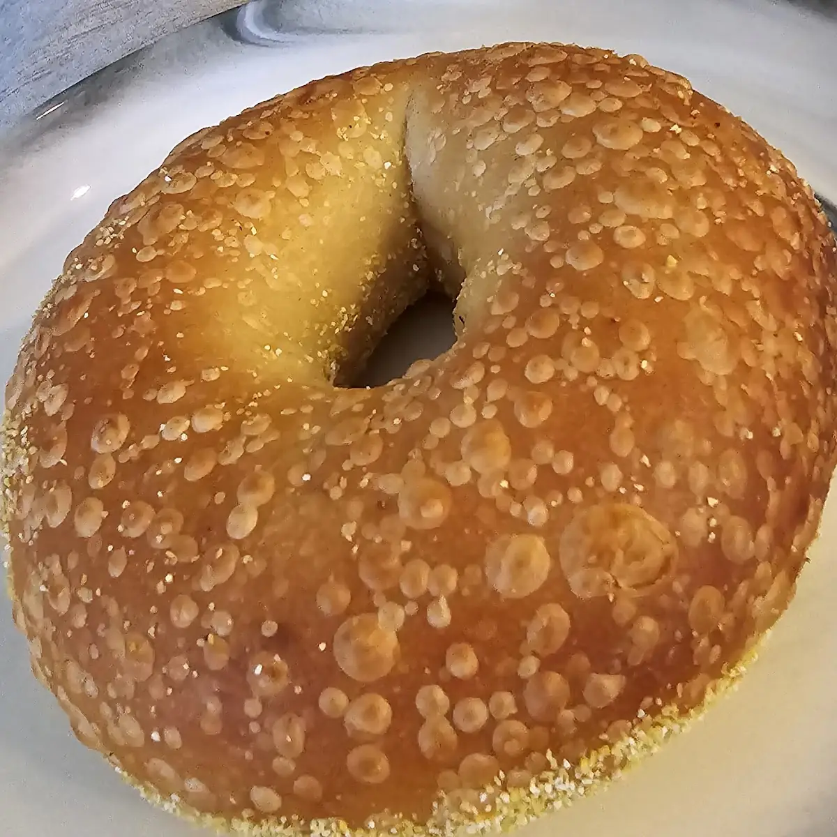 Plain Bagel