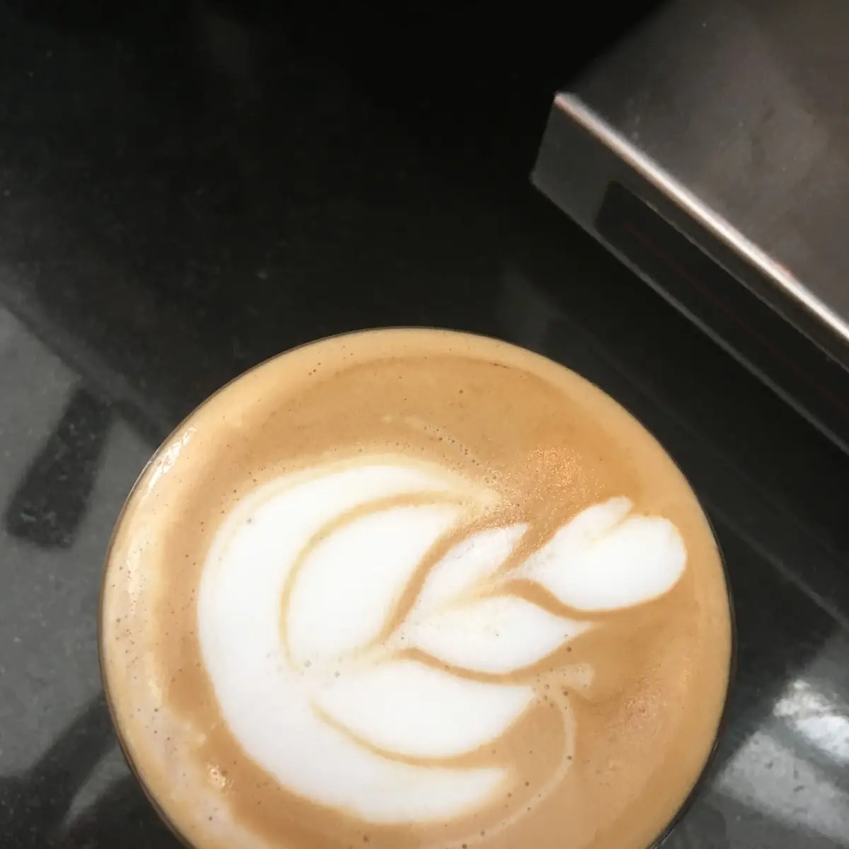 Chocolate Hazelnut Latte