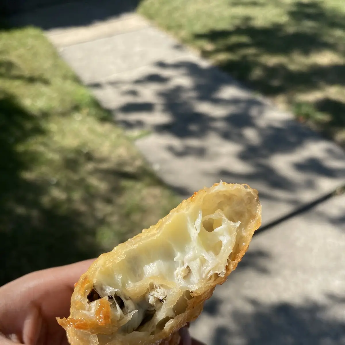 Egg Roll
