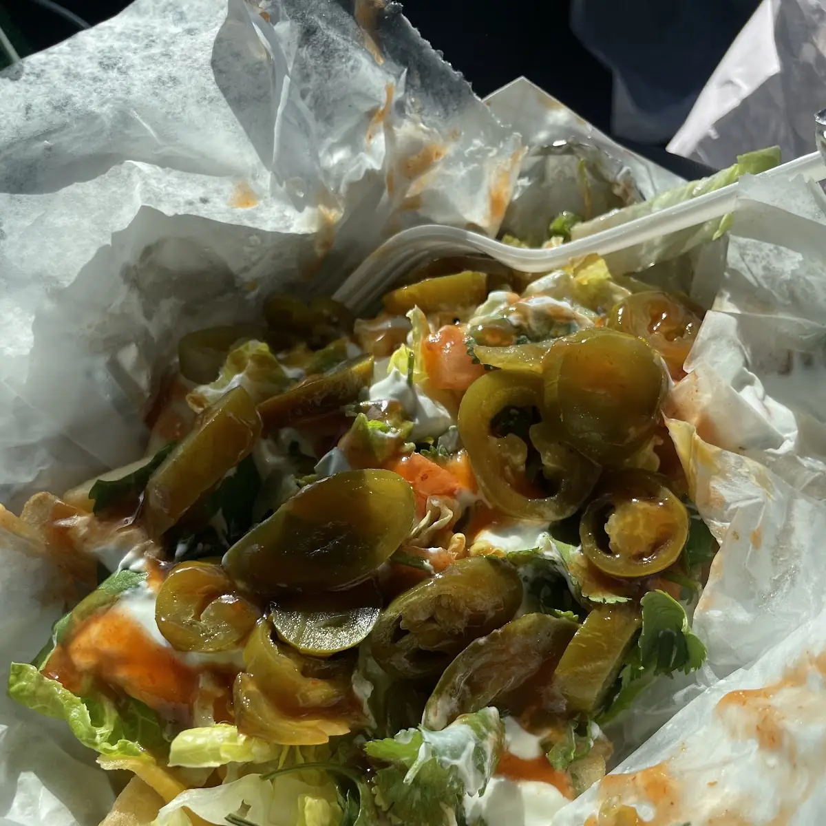 Loaded Fries