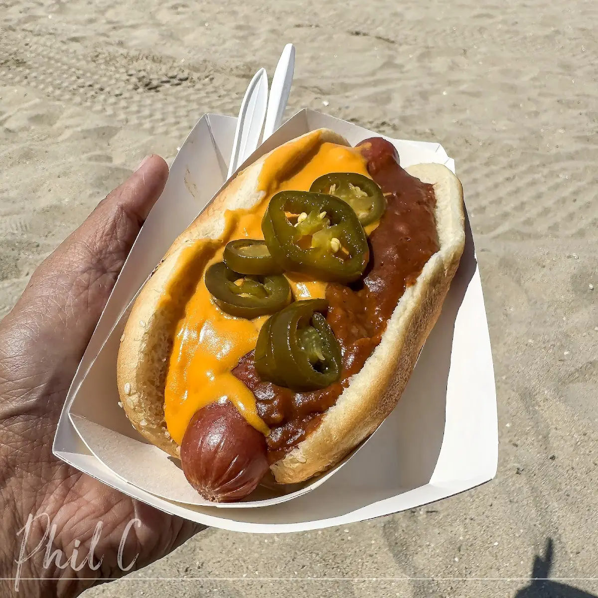 Chili Cheese Dog