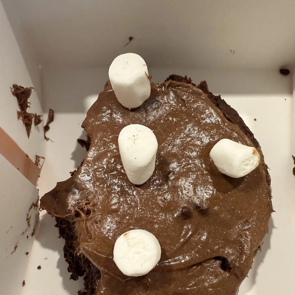 Frozen Hot Chocolate