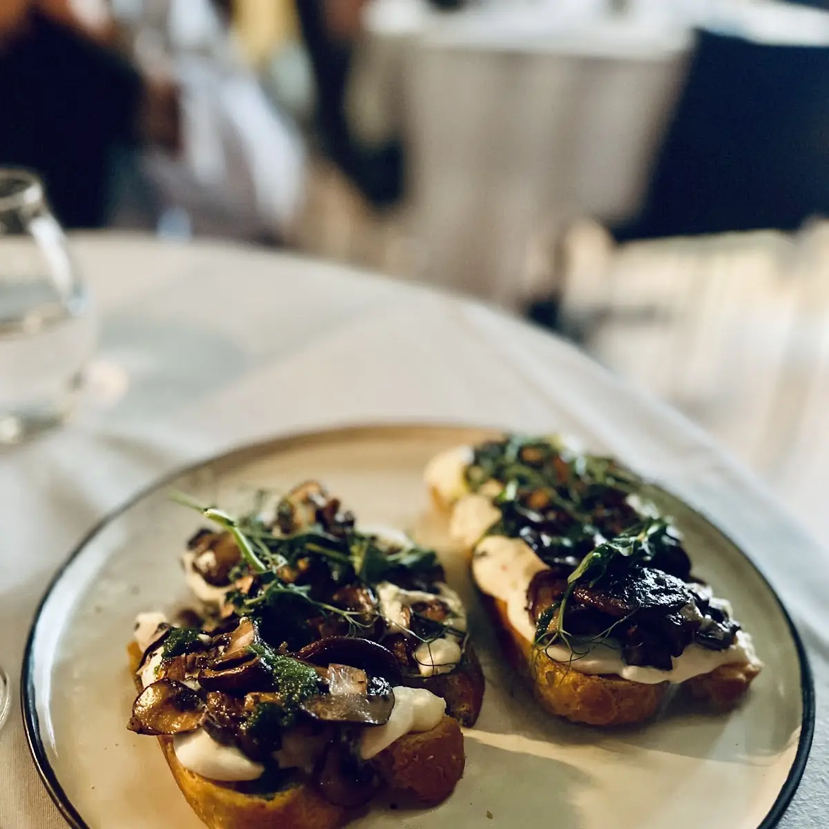 Wild Mushroom Toast