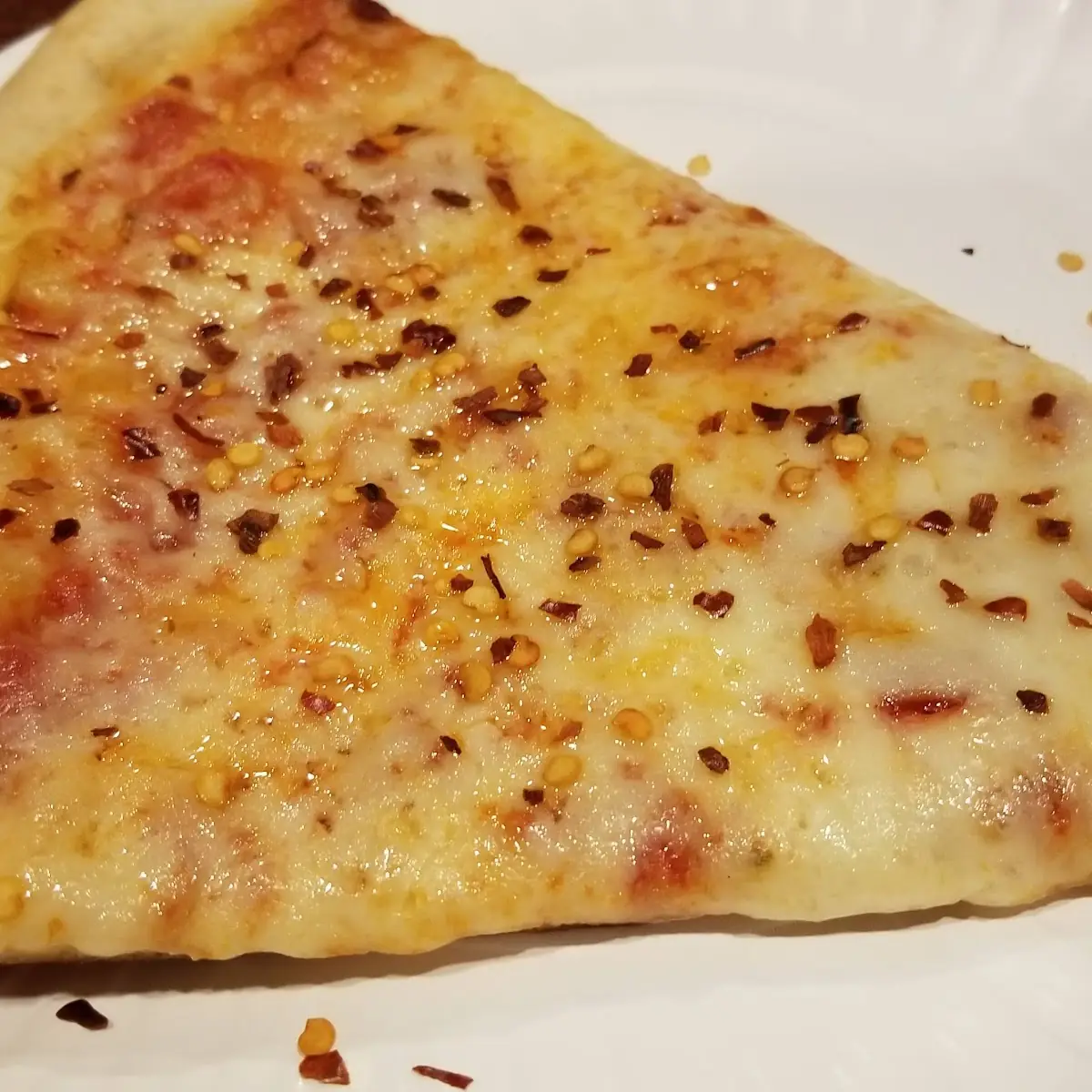 Plain Cheese Pizza