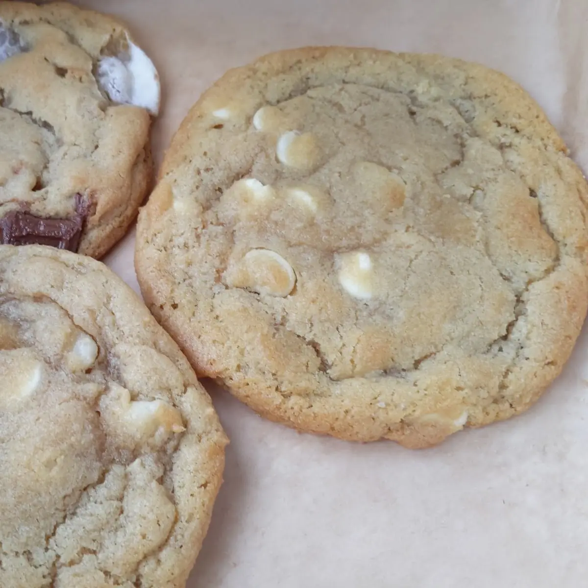 White Chocolate Macadamia Nut Cookie