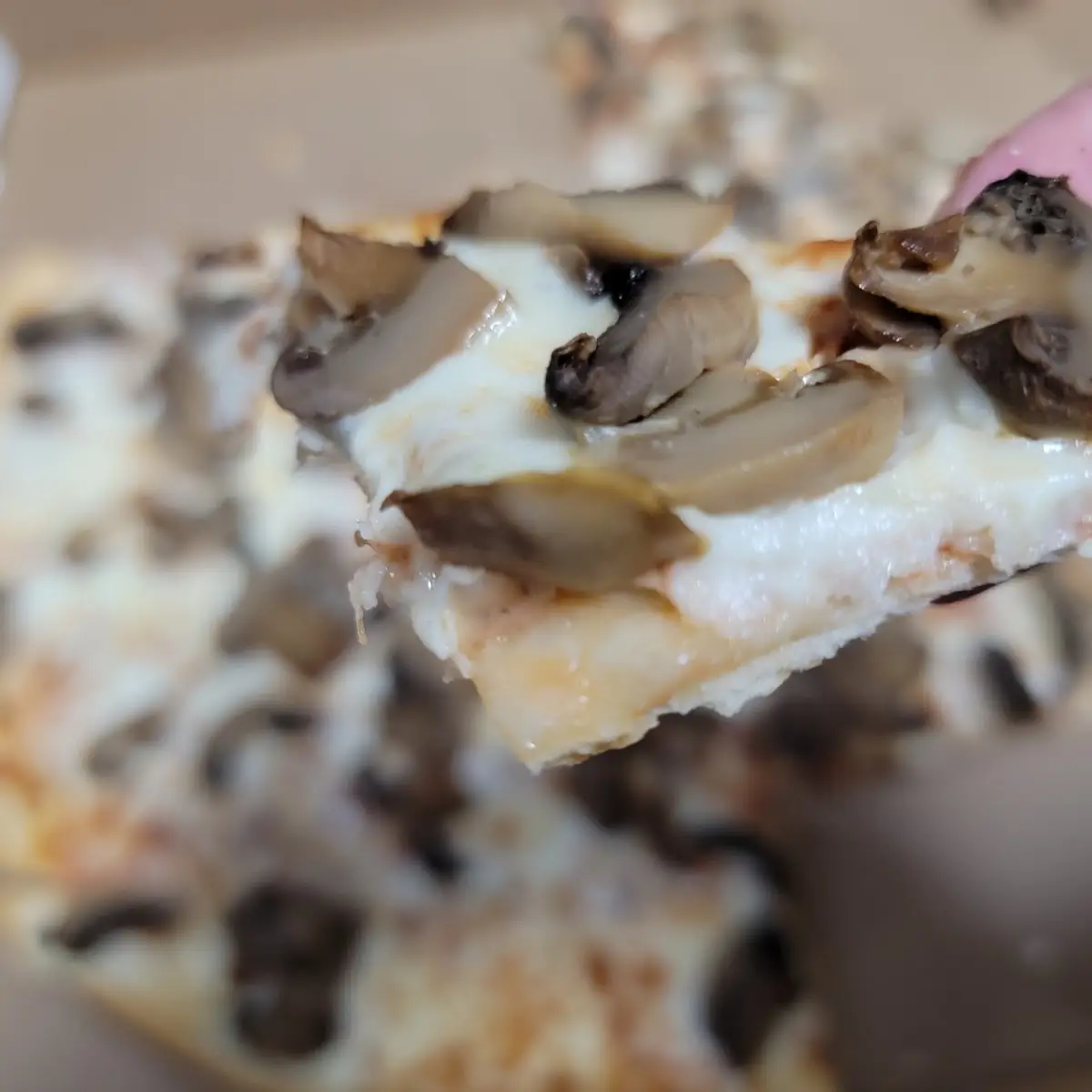 Thin Crust Mushroom Pizza