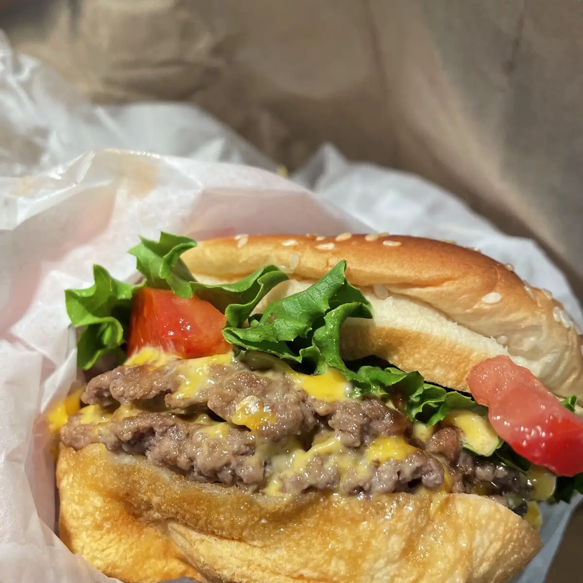 Double Cheese Burger