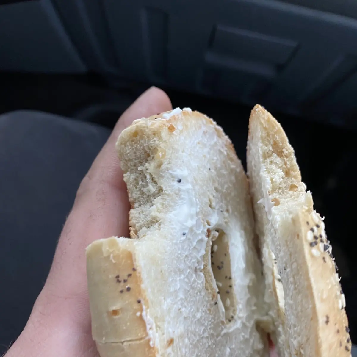 Everything Bagel Toasted with Cream Cheese