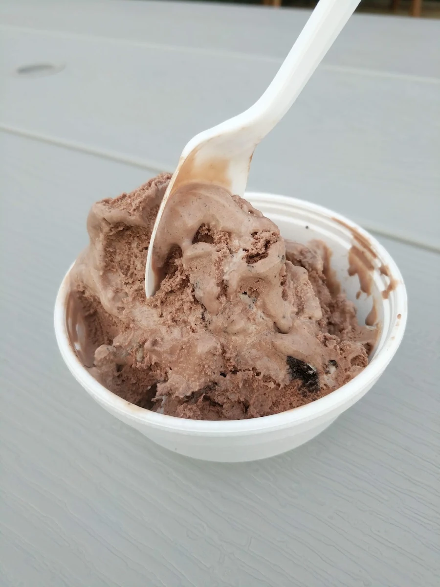Chocolate Ice Cream