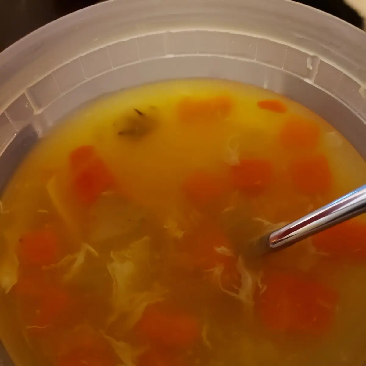 Vegetable Soup